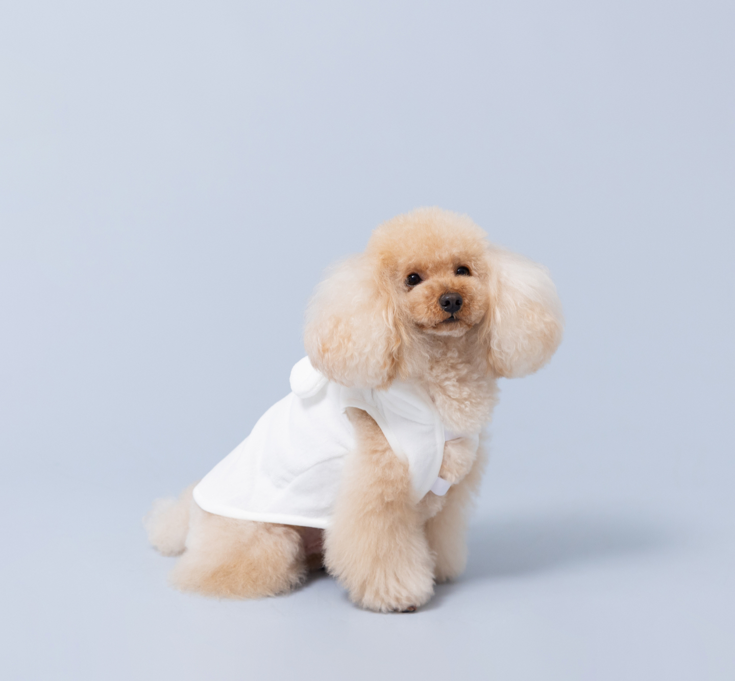 relaxingwear_for_dogs_01